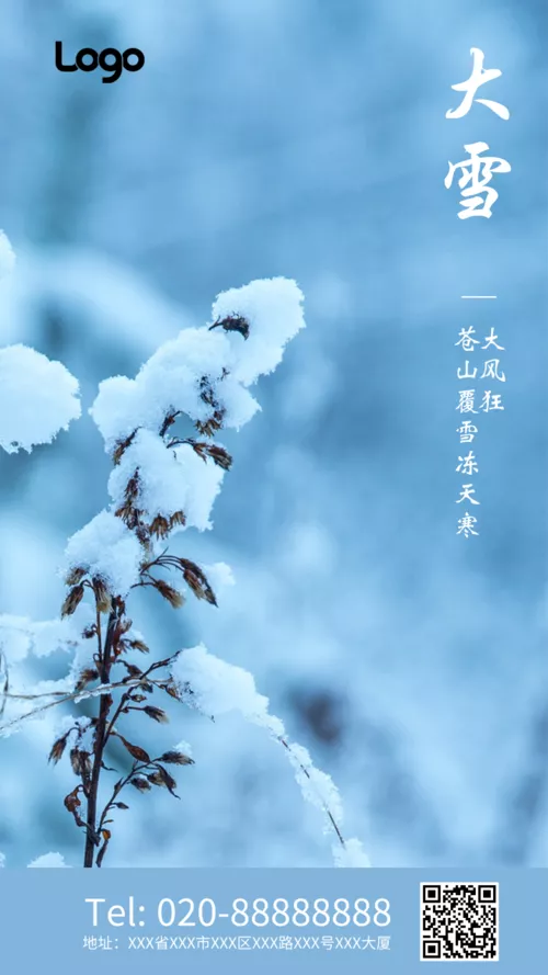 清新风大雪二十四节气手机海报