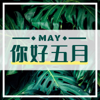 你好五月绿色小清新植物小图