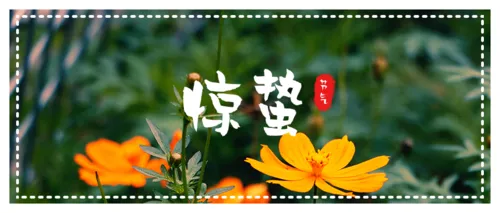 简约惊蛰节气公众号主图