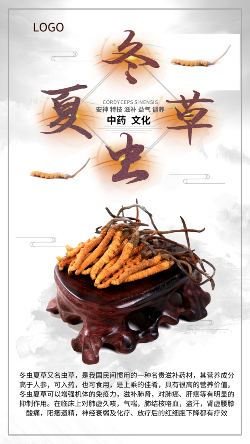 中国风冬虫夏草中药文化宣传手机海报