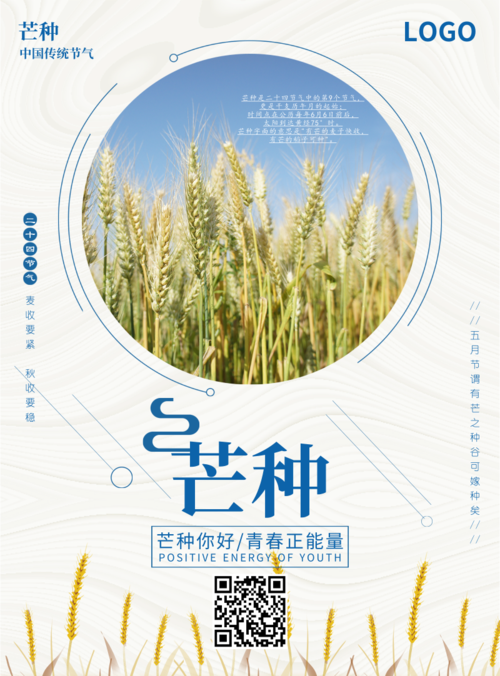 简约芒种24中国传统节气印刷海报