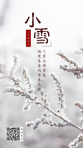 清新风二十四节气小雪手机海报