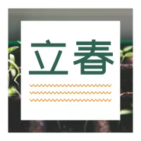 立春简约清新公众号小图