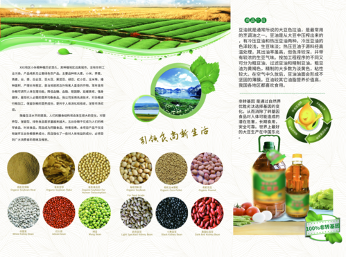 五谷杂粮农产品食品介绍三折页
