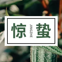 简约惊蛰节气公众号小图