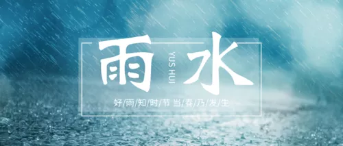 简约清新雨水二十四节气首图