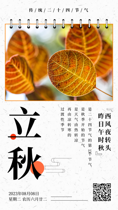 创意文艺中国风二十四节气立秋