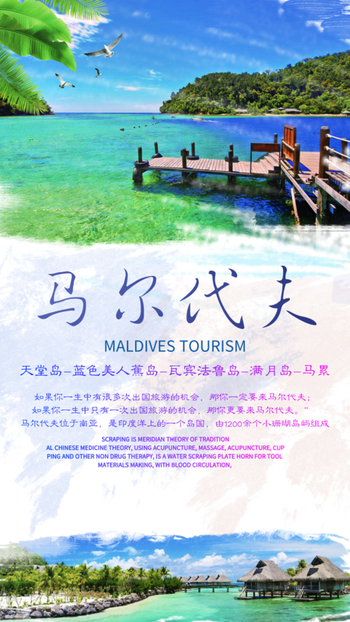 文艺风马尔代夫旅游促销手机海报