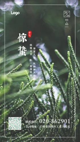 简约惊蛰节气手机海报