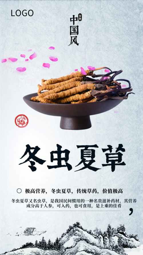 中国风冬虫夏草宣传手机海报