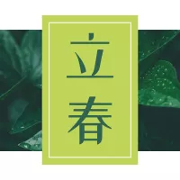 立春简约清新公众号小图