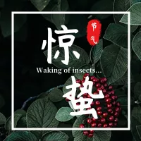 简约惊蛰节气公众号小图