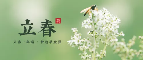 清新绿意立春节气公众号推图