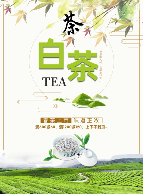 小清新风白茶海报