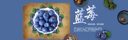 简约清新新鲜蓝莓水果促销活动banner