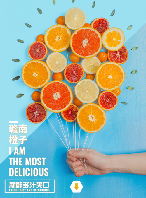 小清新赣南橙子海报