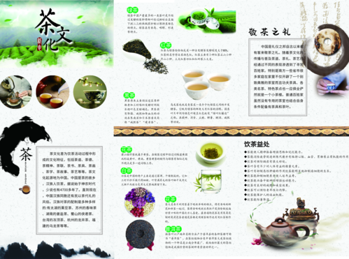 小清新茶文化三折页
