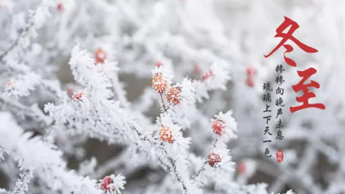 摄影风节气横版海报