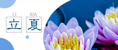 简约立夏节气祝福问候推送首图