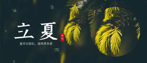 简约立夏节气祝福问候推图海报