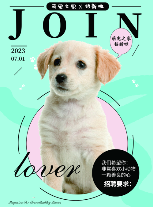 可爱清新宠物店招聘宣传海报