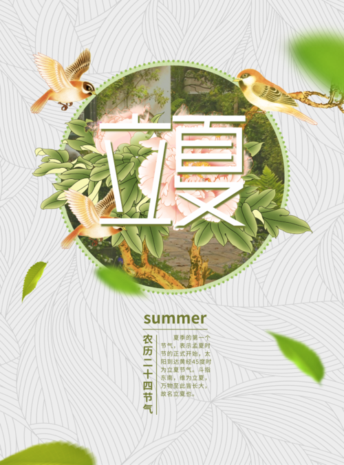 简约清新立夏节气宣传海报