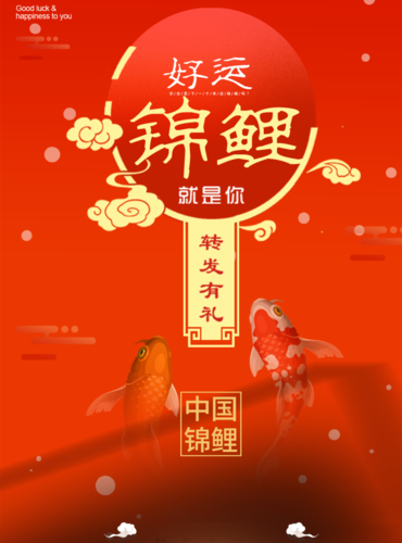 中国风锦鲤促销活动海报