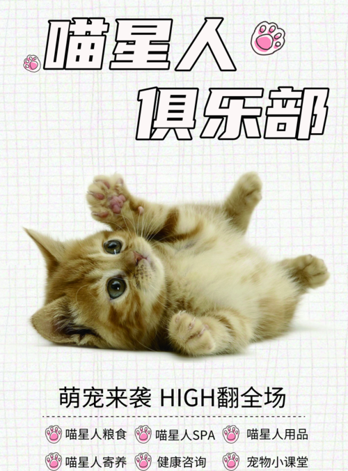 简约可爱猫猫俱乐部宣传海报