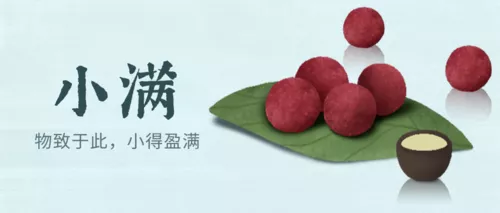 复古小清新插画二十四节气小满