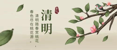 肌理插画风清明时节公众号推图