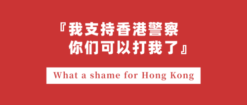 我支持香港警察