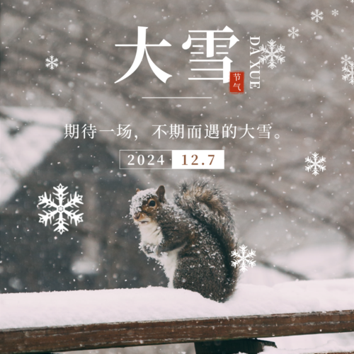 简约大雪节气问候祝福方形海报