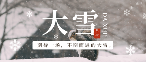 简约大雪节气问候祝福公众号推送首图