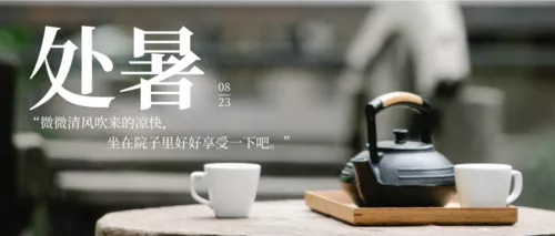 简约处暑节气祝福问候公众号推送首图