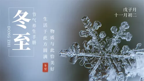 简约图文冬至节气养生横版海报