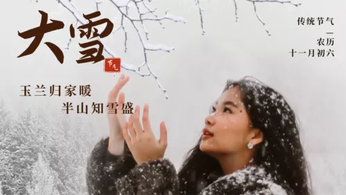 简约大雪节气问候祝福横版海报