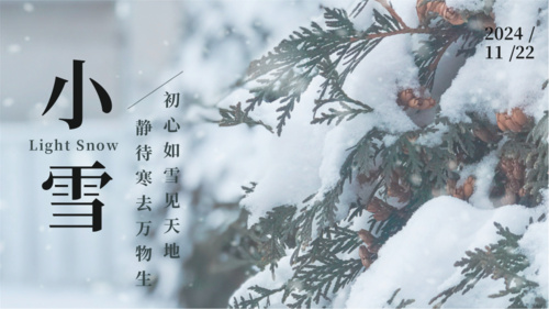 简约小雪节气祝福问候横版海报