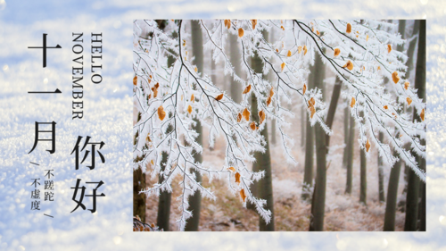 自然摄影雪景十一月初问候横版海报