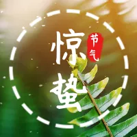 简约惊蛰节气公众号小图