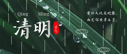 实景清明节气公众号主图推图