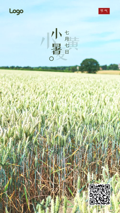 实景小麦小暑节气手机海报