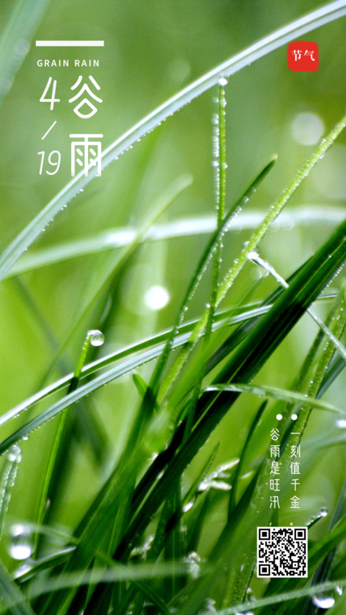 实景绿色谷雨节气手机海报