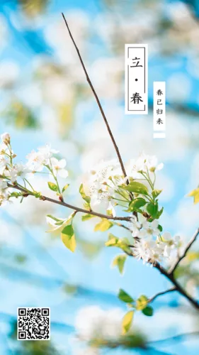立春二十四节气清新简约手机海报