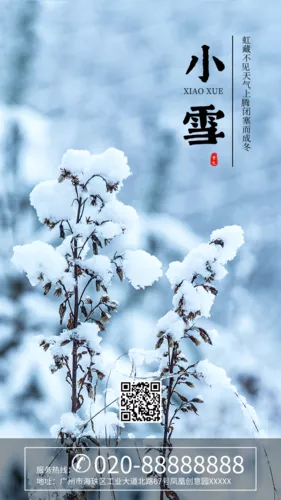 简约大气小雪节气手机海报
