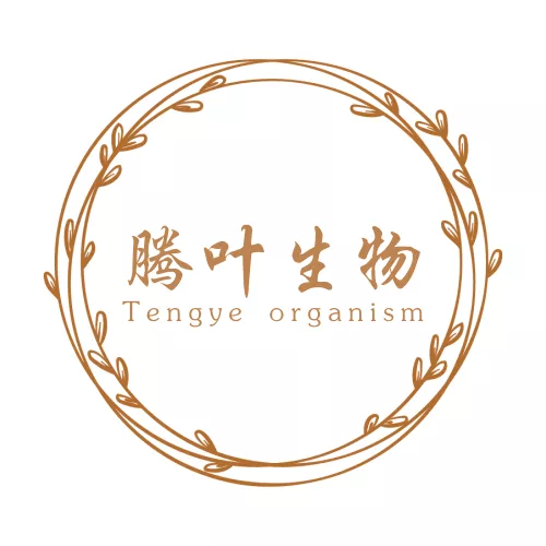 腾叶生物LOGO