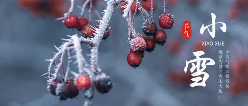 简约大气小雪节气公众号推图