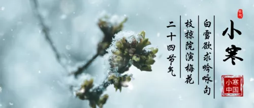 简约大气小寒节气宣传公众号推图