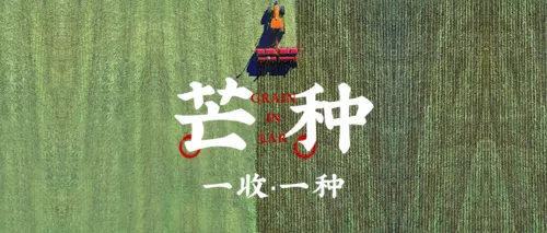 实景简约图文芒种节气宣传公众号推送首图