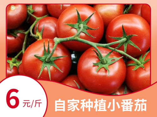 简约番茄水果蔬菜美团商品主图