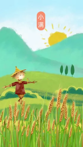 插画风24节气小满手机海报